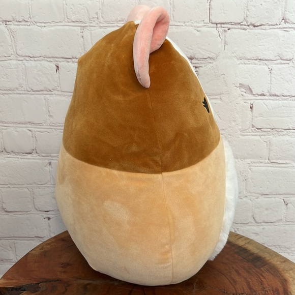 Garret the Guinea Pig Squishmallow - Picture 4 of 10